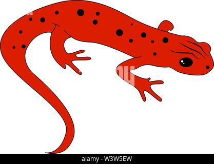 Red newt, illustration, vector on white background. Stock Vector