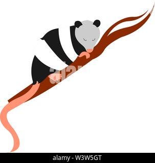 Sleeping opossum, illustration, vector on white background. Stock Vector