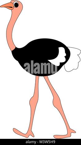 Walking ostrich, illustration, vector on white background. Stock Vector
