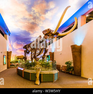 The Bishop Museum of Science and Nature previously The South Florida Museum in Bradenton Florida Stock Photo