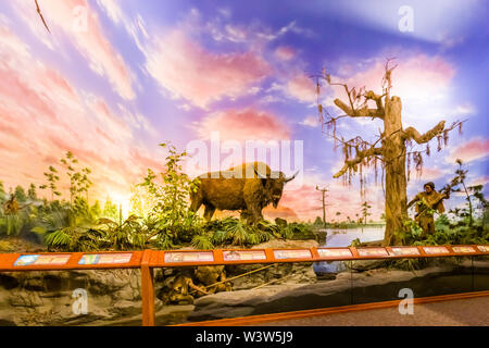 The Bishop Museum of Science and Nature previously The South Florida Museum in Bradenton Florida Stock Photo