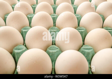 white eggs arranged together in a green egg carton Stock Photo