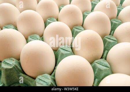 white eggs arranged together in a green egg carton Stock Photo