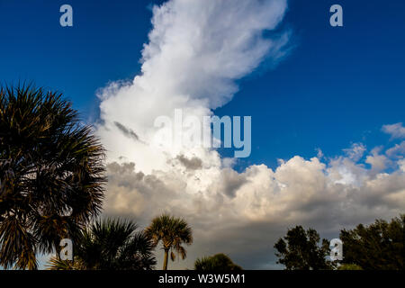Thunderstorm over Venice in Florida Stock Photo