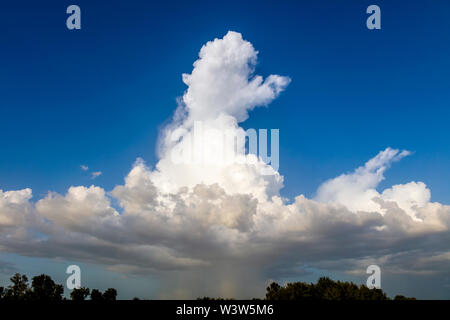 Thunderstorm over Venice in Florida Stock Photo
