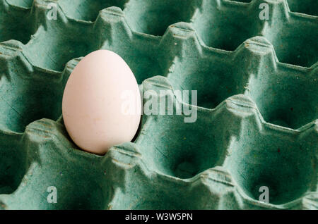 a white egg in an empty green egg carton. Stock Photo