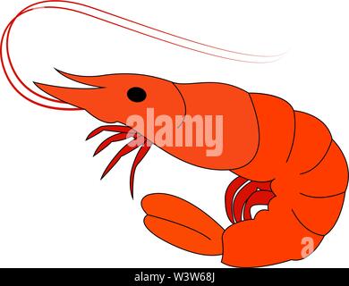 Little shrimp, illustration, vector on white background. Stock Vector