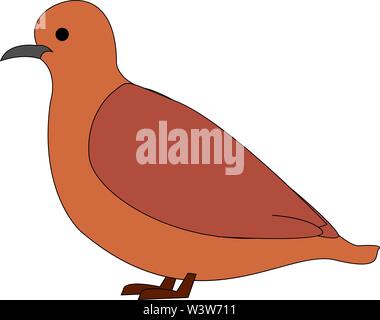 Wild brown pigeon, illustration, vector on white background. Stock Vector