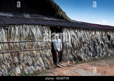 PINAR DEL RIO: FARMER ON TOBACCO FARM IN THE VINALES VALLEY Stock Photo