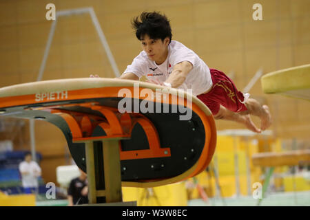 Tokyo, Japan. 17th July, 2019. Wataru Tanigawa (JPN) Artistic Gymnastics : Japan men's national team training camp for The 2019 Artistic Gymnastics World Championships Stuttgart at Ajinomoto national training cener in Tokyo, Japan . Credit: Yohei Osada/AFLO SPORT/Alamy Live News Stock Photo