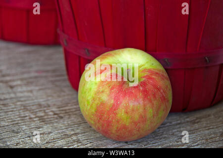 close up of ripe apple by red bushel basket Stock Photo