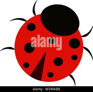 Ladybug vector illustration Stock Vector Image & Art - Alamy