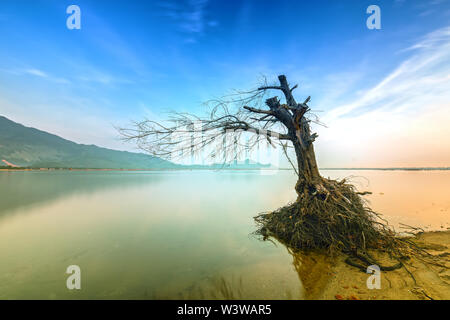 Lonely tree branches in the big lagoon at dawn with dramatic sky welcome the new day Stock Photo