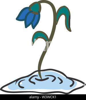Snowdrop flower, illustration, vector on white background. Stock Vector