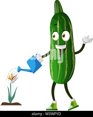 Cucumber watering plant, illustration, vector on white background. Stock Vector