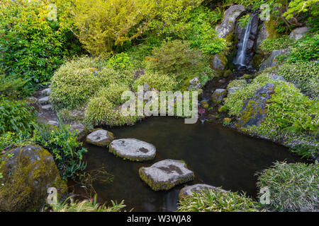 Beautiful green garden with a lake, rocks and waterfall Stock Photo