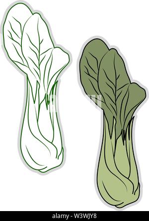 Fresh bok choy, illustration, vector on white background. Stock Vector