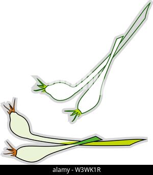 Fresh chives, illustration, vector on white background. Stock Vector