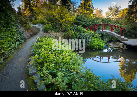 Beautiful Kubota Garden with a lake and Japanese bridge in Seattle, WA Stock Photo