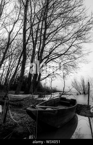 A small fishing boat near tall trees on a lake shore Stock Photo