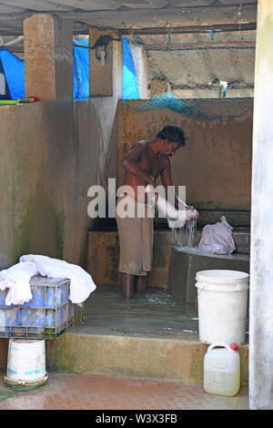 Indian man washing clothes and sheets at Dhobi khana public laundry in Kochi (Cochin) Kerala, India Stock Photo