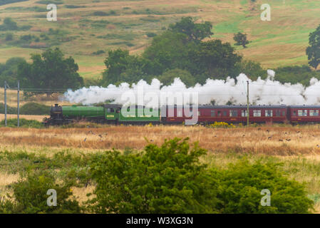 BR B1 class steam locomotive 'Mayflower' number 61306 is seen passing through Hadleigh Marsh in the rain below the ruins of the 13th century Hadleigh Castle on its way from Southend East station in Essex towards Winchester in Hampshire, hauling a Steam Dreams steam special train of vintage carriages. 'Mayflower' has recently received an overhaul and is resplendent in BR apple green livery Stock Photo