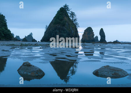 Sea stacks and reflections on sandy beach. Shoreline of Pacific Ocean. Olympic Peninsula. Shi Shi Beach, Washington state WA. USA. Stock Photo