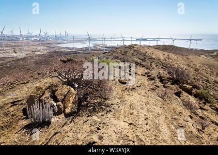 White turbines at wind farm with power station and sea in background, arid landscape on sunny summer day, sustainable renewable electricity concept Stock Photo