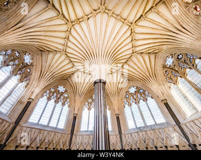 Delicate stone tracery in the gothic vaulted ceiling of the chapter house of Wells Cathedral in Somerset UK Stock Photo