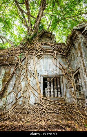 Prasat Beng Mealea temple ruins, Siem Reap Province, Cambodia Stock Photo