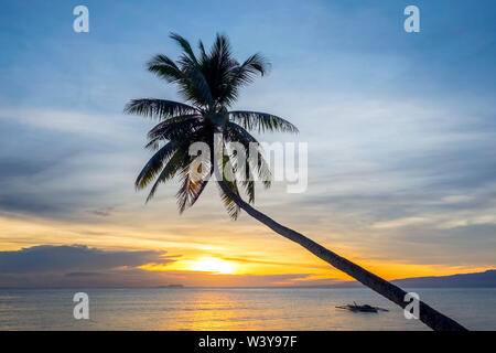Palm tree silhouetted against the sunset, Paliton Beach, San Juan, Siquijor Island, Central Visayas, Philippines Stock Photo