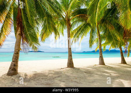 Palm trees and blue water on the white sand beach of Malcapuya Island, Culion, Palawan, Philippines Stock Photo