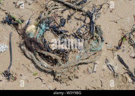 Fishing Plastic in Seaweed on Beach Stock Photo