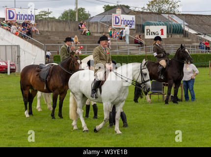 Skibbereen, West Cork, Ireland, 18th July 2019, The sun shone on the Carbery Show today allowing the community to show off their animals, ride their horses and enjoy the fun of the show ground. Credit aphperspective/ Alamy Live News Stock Photo