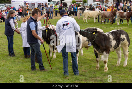 Skibbereen, West Cork, Ireland, 18th July 2019, The sun shone on the Carbery Show today allowing the community to show off their animals, ride their horses and enjoy the fun of the show ground. Credit aphperspective/ Alamy Live News Stock Photo