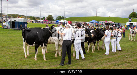 Skibbereen, West Cork, Ireland, 18th July 2019, The sun shone on the Carbery Show today allowing the community to show off their animals, ride their horses and enjoy the fun of the show ground. Credit aphperspective/ Alamy Live News Stock Photo