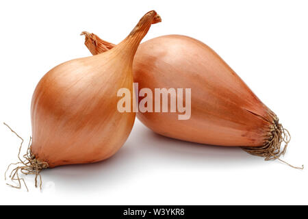 Fresh shallots, onions isolated on white background Stock Photo