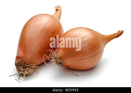 Fresh shallots, onions isolated on white background Stock Photo