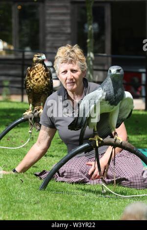 洋書 TRAINING BIRDS OF PREY JEMIMA PARRYJONES Training Birds of Prey: Parry-Jones, Jemima: 9780715312384