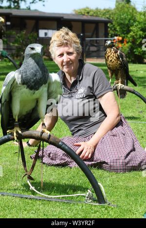 洋書 TRAINING BIRDS OF PREY JEMIMA PARRYJONES Training birds of prey : Jemima Parry-Jones : Free Download