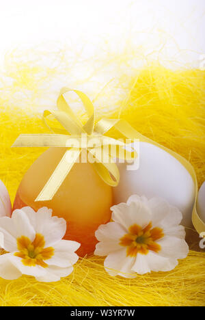 white Easter eggs decorated with ribbon and yellow primroses Stock Photo