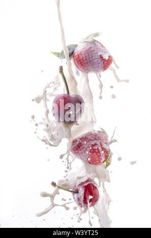fresh fruit of cherries and strawberries with milk splash on white background Stock Photo