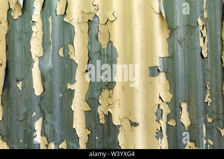 Closeup of yellow paint peeling from a corrugated tin wall background Stock Photo