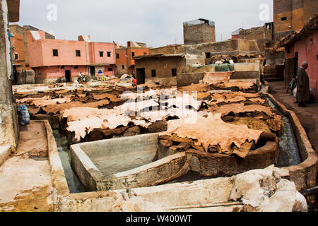 Traditional Maroccan Tanneries in the Medina district, Marrakech, Morocco, North Africa tanning animal skins Stock Photo