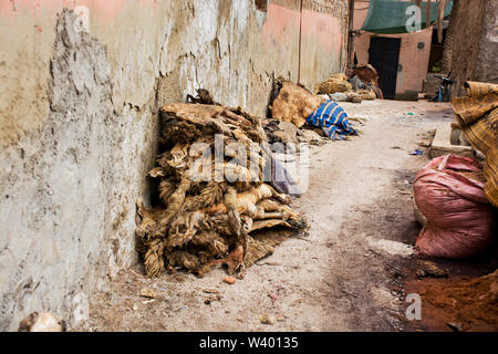 Traditional Maroccan Tanneries in the Medina district, Marrakech, Morocco, North Africa tanning animal skins Stock Photo