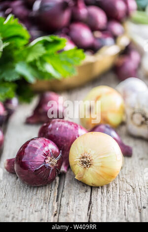 Red onion in bronze bowl garlic celery herbs and kohlrabi on garden table - Top of view. Close-up fresh healthy vegetable Stock Photo