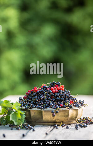 Black and red currant in bronze bowl on garden table Stock Photo