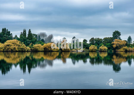 Mirror images of the shore and trees, reflected on the lake Stock Photo