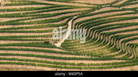 Scenic view of Alto Douro Vinhateiro with terraces and vineyards Stock Photo