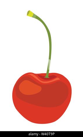 Cherry fruit vector illustrations. Stock Vector